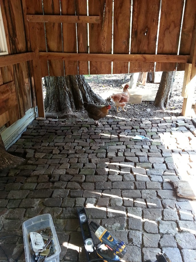 Used mostly broken bricks for the floor. I love how awesome it looks. Too bad it is covered 100% of the time with pine shavings. Ugh.